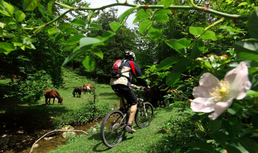 BTT Euskadi, Piedra de Toque