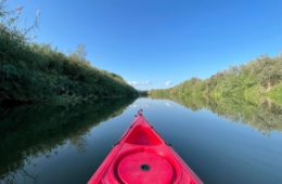 Delta del Ebro, Piedra de Toque,