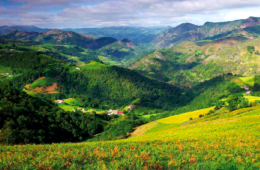 Piedra de Toque